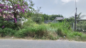 Đất Mặt Tiền Nhựa 