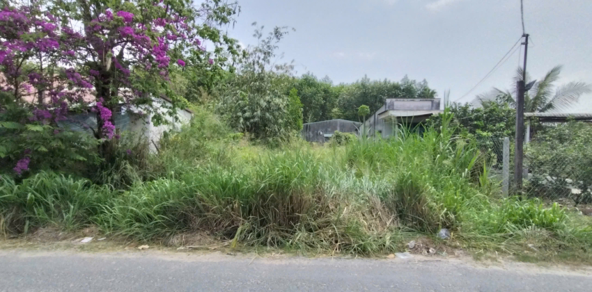 Đất mặt tiền nhựa 