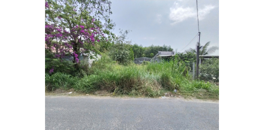 Đất mặt tiền nhựa 