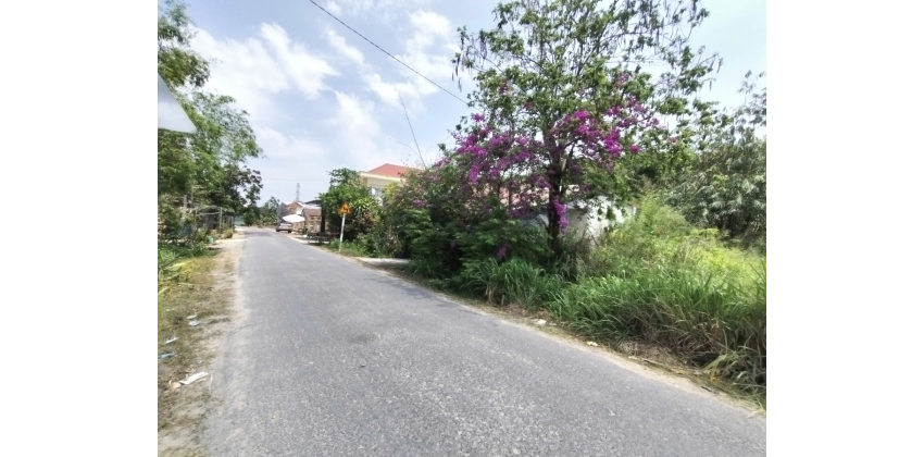 Đất mặt tiền nhựa 